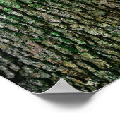 Poster Tronc d'arbre (écorce en bois) (Coin)