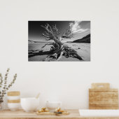 Poster Tronc d'arbre en bois de chaudière photo B&W (Cuisine)