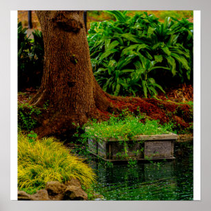 Poster Tronc et Eau