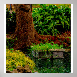 Poster Tronc et Eau