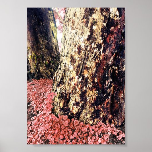 Poster troncs d'arbre (Devant)