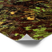 Poster Troncs d'arbres avec lierre par Vincent van Gogh (Coin)