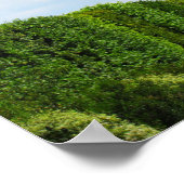 Poster Trône dans le ciel (Coin)