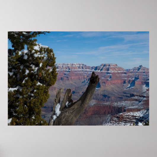 Poster Trône du Grand Canyon 2938 Imprimer (Devant)