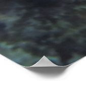 Poster Tronquins tachetés (Coin)