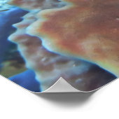 Poster Tronquins tachetés sur le corail (Coin)