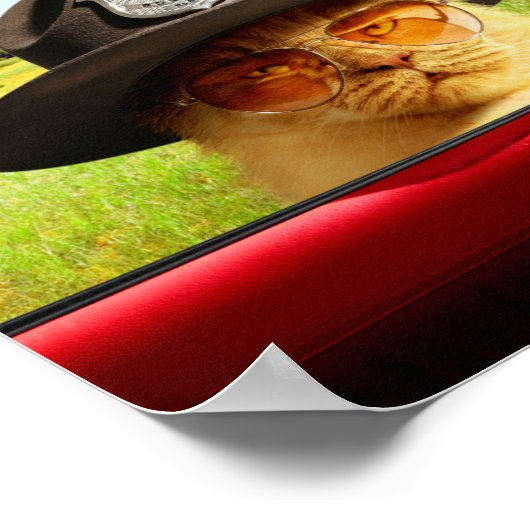 Poster Trooper Cat (Coin)