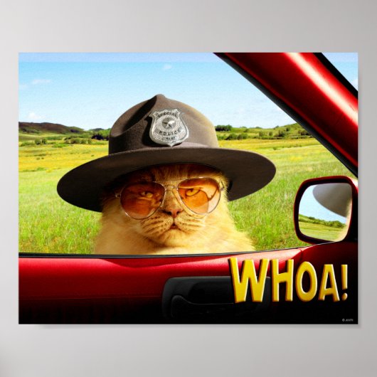 Poster Trooper Cat (Devant)