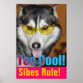 Poster trop Cool (Devant)