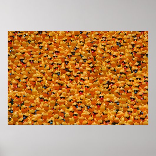 Poster Trop de canards (Devant)