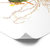 Poster Tropaeolum majus (Coin)