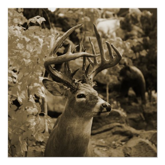 Poster Trophée Deer (Devant)