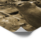 Poster Trophée Deer (Coin)