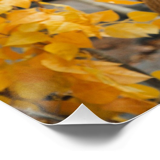 Poster Trophée Deer (Coin)