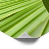 Poster Tropical (Coin)