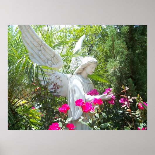 Poster Tropical Angel du Jardin du Gardien ailé Ph (Devant)