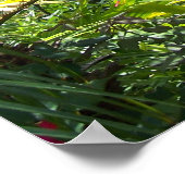 Poster Tropical Angel du Jardin du Gardien ailé Ph (Coin)