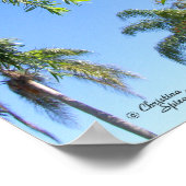 Poster Tropical de l'arbre à pinceau rouge (Coin)