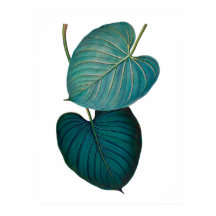 Tropical exotique feuilles philodendron