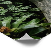 Poster Tropical Greenhouse Jungle Path (Coin)