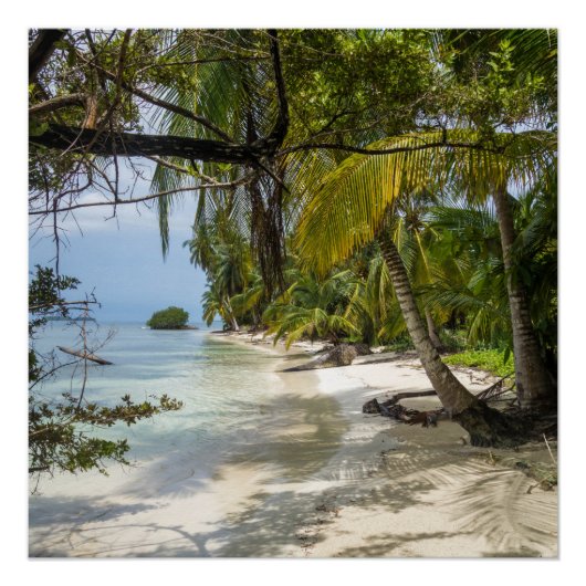 Poster Tropical Grove (Devant)