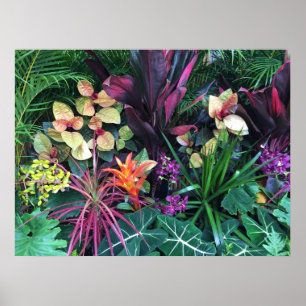 Poster Tropical Hawaiian Flora