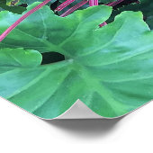 Poster Tropical Hawaiian Flora (Coin)