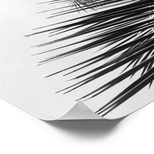 Poster Tropical Palm Feuille Moderne Cursive Police Hello (Coin)