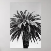 Poster Tropical Palm Tree Poster,Print (Devant)