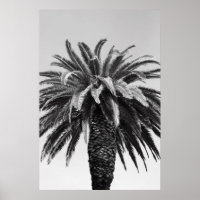 Tropical Palm Tree Poster,Print