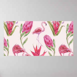 Poster Tropical pink flowers, protea, bird of paradise fl