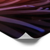 Poster Tropical Reef Full of Marine Life (Coin)