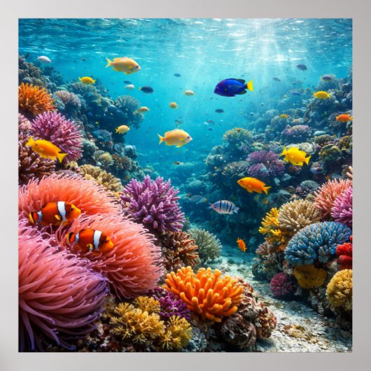 Poster Tropical Reef Full of Marine Life (Devant)