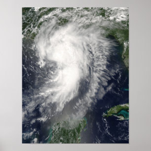 Poster Tropical Storm Cindy