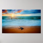 Poster Tropical Sunset Sea Turtle Sandy Beach (Devant)