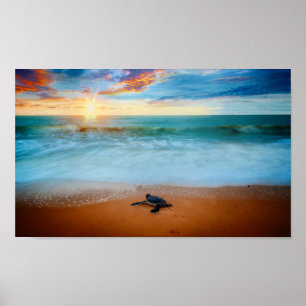 Poster Tropical Sunset Sea Turtle Sandy Beach