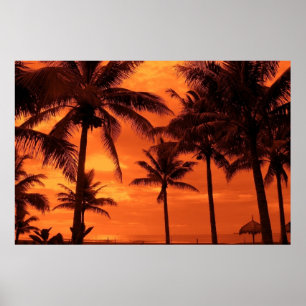 Poster Tropical Sunset Summer Design Palm Trees Landscape