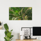 Poster Tropique des contours de palmiers clairs du couche (Bureau à domicile)