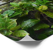 POSTER - Tropische tuin Bali (Hoek)