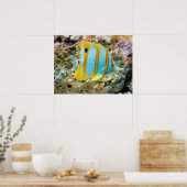 Poster-tropische vis poster (Keuken)