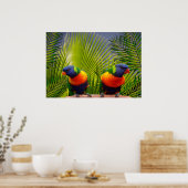 Poster tropische vogels (Keuken)