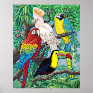 Poster tropische vogels