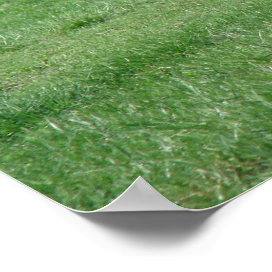 Poster Trot étendu (Coin)