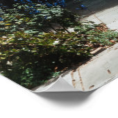 Poster Trottoir ombragé (Coin)