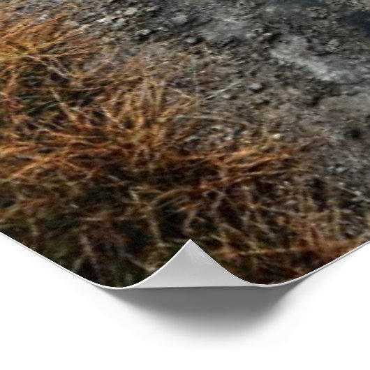 Poster Trou bleu (Coin)