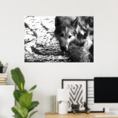 Poster Trou d'eau (Bureau à domicile)