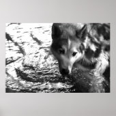 Poster Trou d'eau (Devant)