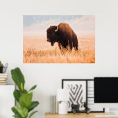 Poster Troupeau De Bison Américain (Bison Bison) À Teton  (Bureau à domicile)