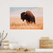 Poster Troupeau De Bison Américain (Bison Bison) À Teton  (Cuisine)