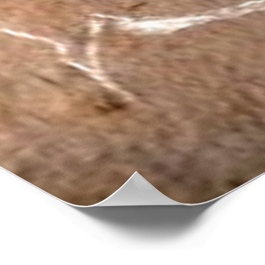 Poster Troupeau de bisons errants (Coin)